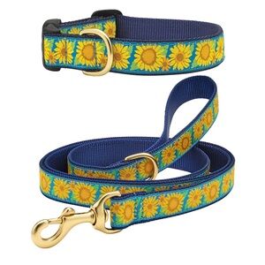 Up Country Bright Sunflower Dog Collar and Leash